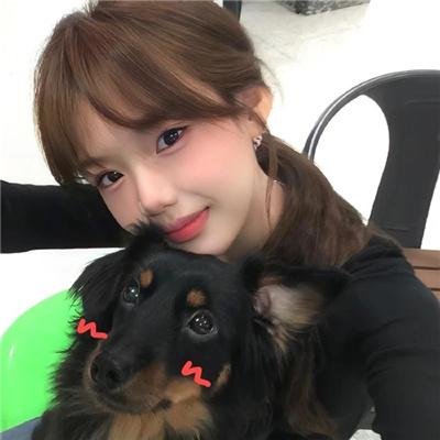 军犬麦斯2：白宫英雄